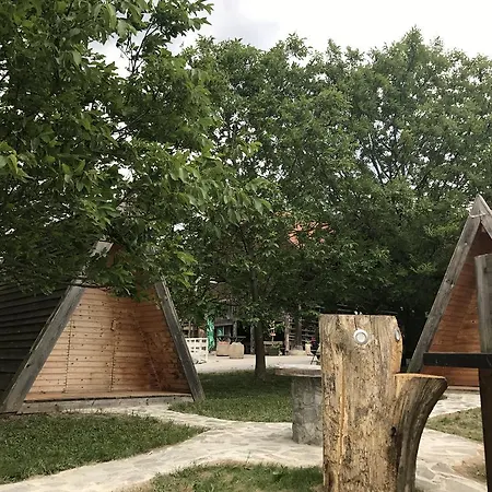 Gospodarstwo agroturystyczne Martinova Izba - &