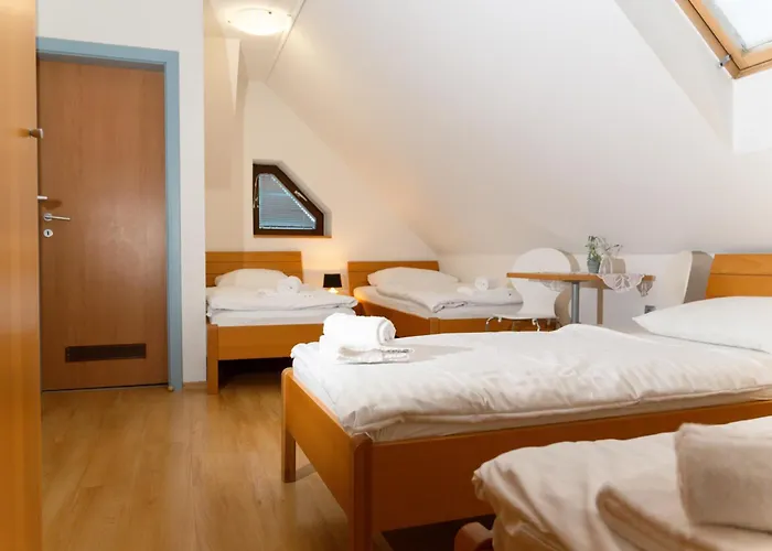 Martinova Izba - & Lasko